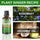 30ml Rosemary Hair Growth Essential Oil Bottle